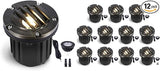 Gardenreet Solid Brass Well Light - All Weather 12V In-Ground LED Low Voltage Landscape Lighting, Replaceable Bulb | Lumora