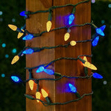 Novelty Lights 24FT 70 LED C6 Christmas String Lights, Outdoor Tree Commercial Grade Permanent Decorations | Lumora