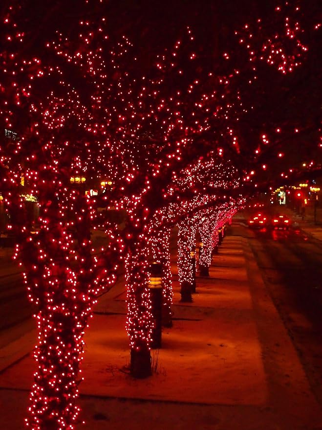 LAMPHOME Christmas String Light,100 Count Incandescent Mini String Light in 19.6ft,Indoor/Outdoor 120V UL Certified Mini Light for Christmas,Wedding,Patio Lawn,Home,Garden,Party (RED)