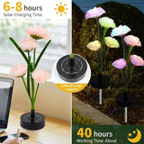Solar Carnation Flower Garden Lights Outdoor Decorative, 7 Color Changing Solar Flower Lights Waterproof, 40H Solar | Lumora