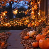 10FT Halloween Orange LED String Lights, 10 Clear Orange Bulbs with Black Wire, Outdoor Waterproof Vintage | Lumora