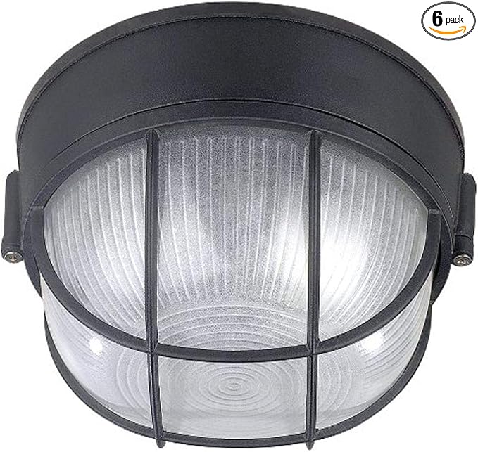 Canarm IOL17BK The Outdoor 1-Bulb Flush Mount Exterior Light with Frosted Glass Globe, Black (Pack of 6) | Lumora