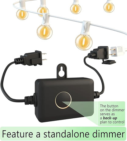 Outdoor-String-Lights-Patio-LED-Light-Outside 30FT Waterproof Dimmable Remote Outdoor Lighting G40 Globe Plastic LED Bulbs Hanging Lights Connectable for Backyard Porch Party 1FT Bulbs Spacing