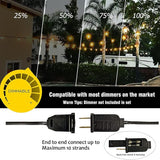 100FT LED String Lights Outdoor Waterproof G40 Globe String Lights with 52 Shatterproof Bulbs(2 Extra), Dimmable | Lumora