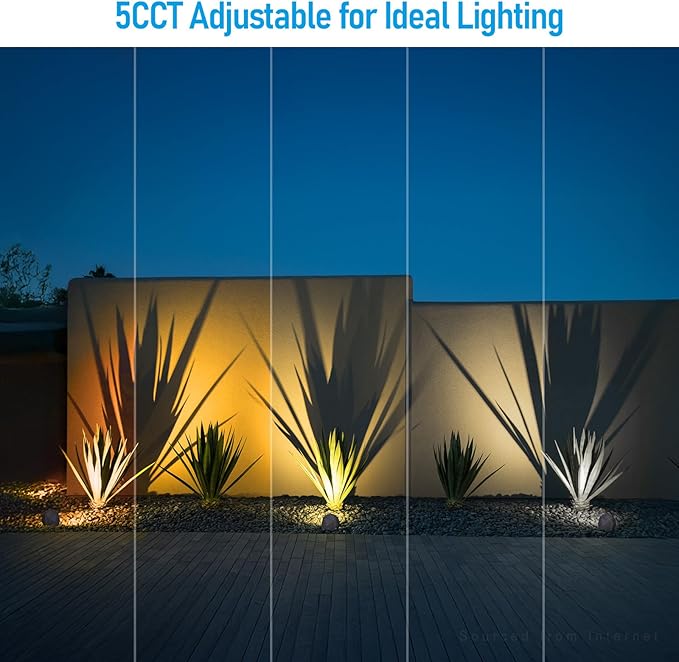 LEONLITE 5CCT Decorative Stone Light Outdoor, 5W LED Low Voltage Landscape Lighting for Garden, Yard, 12-24V AC/DC | Lumora