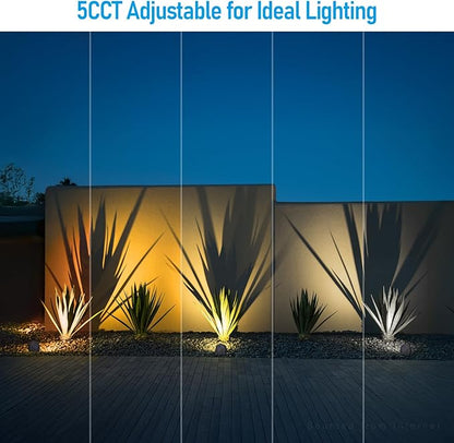 LEONLITE 5CCT Decorative Stone Light Outdoor, 5W LED Low Voltage Landscape Lighting for Garden, Yard, 12-24V AC/DC, CRI90, 200lm, IP65 Waterproof, Round, Dark Gry, Pack of 2