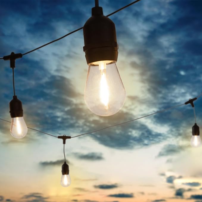 Outdoor String Lights - 50 Ft Patio Lights with 24 Vintage-Style LED Edison Bulbs and Hanging Sockets for Porch, Backyard, and Events by Pure Garden