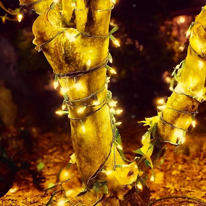 71 FT 140 LED Warm White Christmas Lights Outdoor- 2 Pack M5 LED Christmas Lights Outdoor Waterproof, Warm White | Lumora