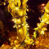 71 FT 140 LED Warm White Christmas Lights Outdoor- 2 Pack M5 LED Christmas Lights Outdoor Waterproof, Warm White | Lumora