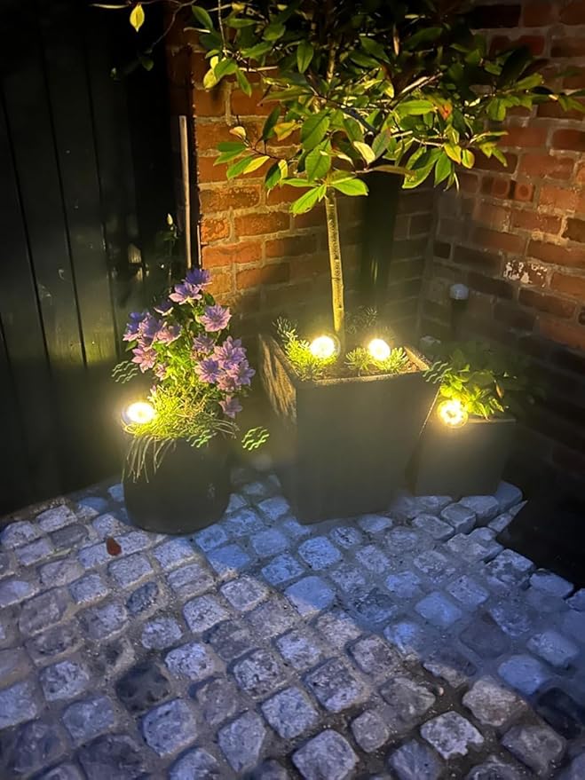 Solar Lights Outdoor,12 Pack Solar Garden Lights for Pathway,Yard,Deck,Lawn,Patio,Walkway,Driveway,Step（Warmwhite） | Lumora