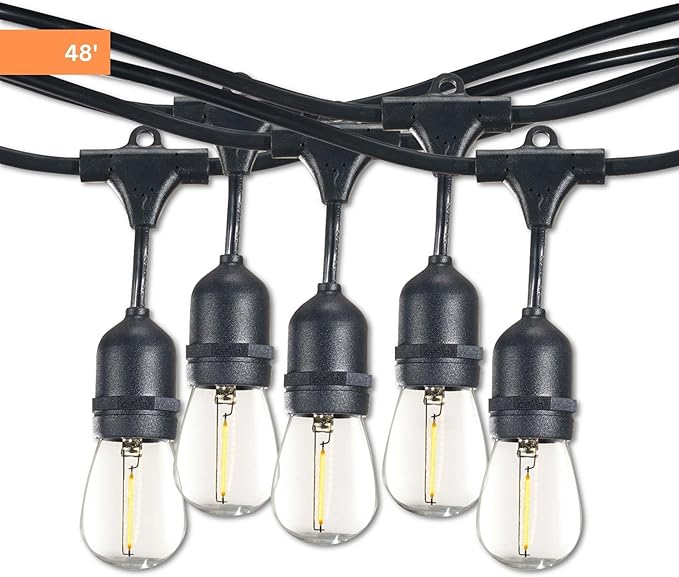 Bulbrite 48-Foot String Light Kit with Clear Shatter Resistant Vintage Style S14 LED Light Bulbs