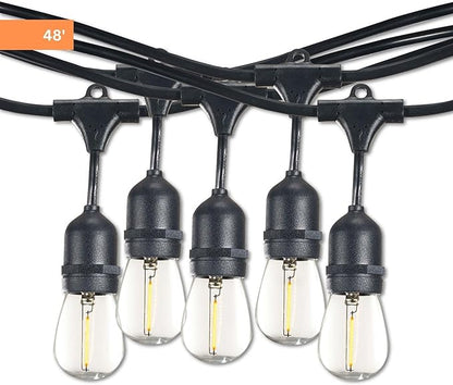 Bulbrite 48-Foot String Light Kit with Clear Shatter Resistant Vintage Style S14 LED Light Bulbs