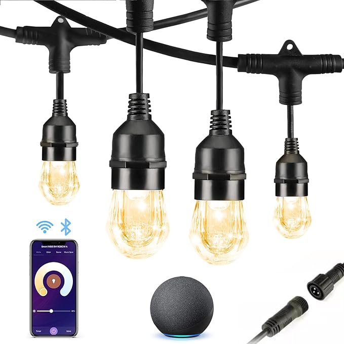 HVS Smart Outdoor String Lights (Without Power Plug ),LED 24Ft-12 Bulbs Tunable Dimmable Warm White Cafe Patio Lights,APP Control 2.4GHz WiFi Waterproof Acrylic Diamond Bulb Work with Alexa Google