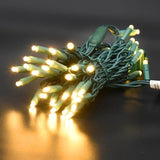50 Count 5MM Wide Angle Led Christmas Lights Set,Outdoor Led String Lights for Garden Patio Christmas Trees | Lumora