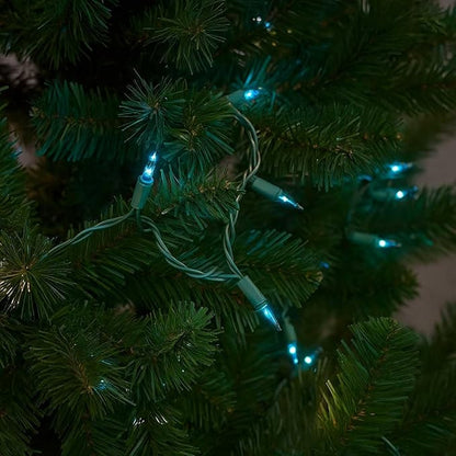 Novelty Lights 50 Feet 100 Bulbs Traditional Incandescent Mini Lights, Teal on Green Wire with 6" Spacing, Commercial Grade and UL Listed for Indoor/Outdoor Use, End-to-End Connectable
