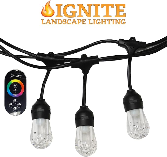 Ignite Color-Changing LED Hanging Café String Lights, 24ft Cord, 12 Lights Kit