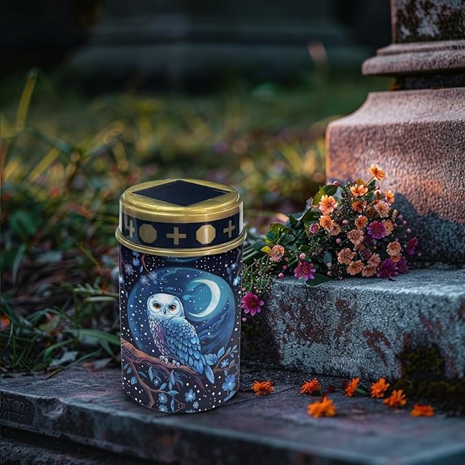 Solar Outdoor Lights Garden Decor Blue Owl and Moon Solar Lights Grave Decorations for Cemetery Memorial Gifts for Loss of Mother Sympathy Gifts for Loss of Dad