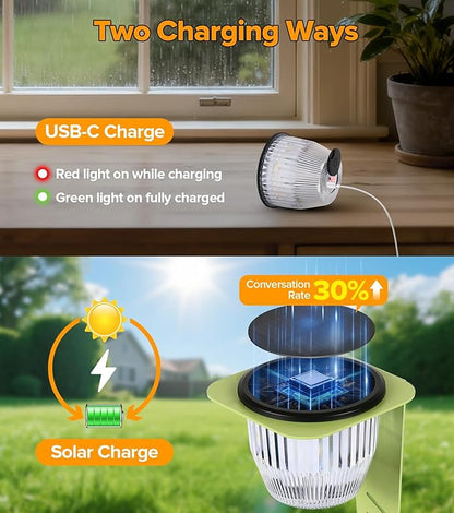 Solar Pathway Lights Outdoor, Super Bright 500 lumens with 2-in-1 Solar Powered and USB Charging Modes, IP65 Waterproof, Auto On/Off Garden Lights for Lawn Patio Walkway, Green (4 Pack)