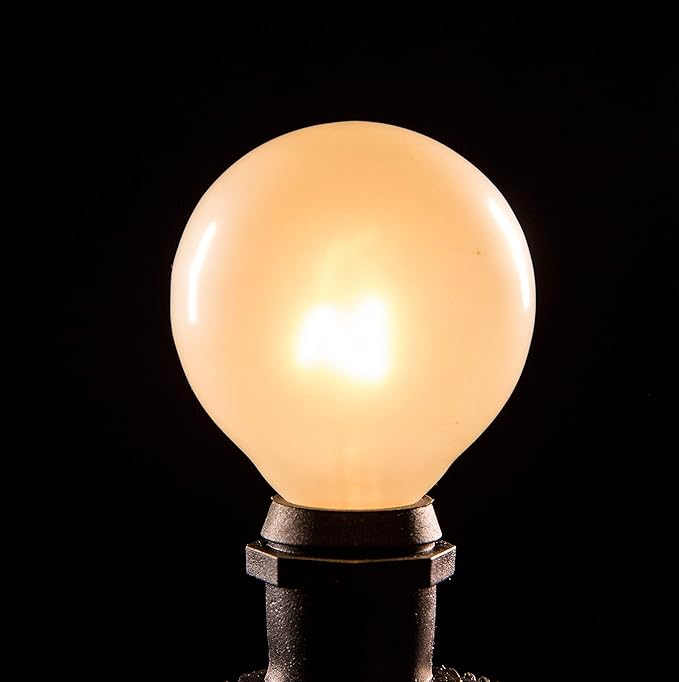 Hometown Evolution, Inc. White Pearl Outdoor Patio Globe String Lights (Commercial 25 Foot 20 Socket - G50 White | Lumora