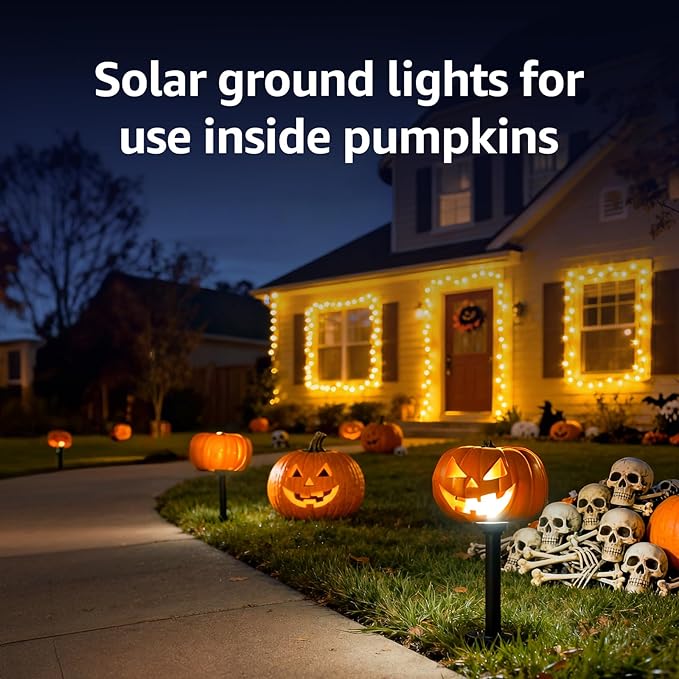 Lepro Solar Decorative Spot Lights 4 Pack, Warm White Accent Lights for Garden - Outdoor Security Flood Light | Lumora