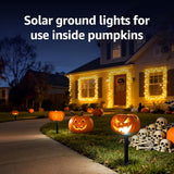 Lepro Solar Decorative Spot Lights 4 Pack, Warm White Accent Lights for Garden - Outdoor Security Flood Light | Lumora