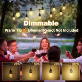 100FT LED Outdoor String Lights with 30+2 Shatterproof Bulbs, IP65 Waterproof, Commercial Grade Patio String Lights | Lumora