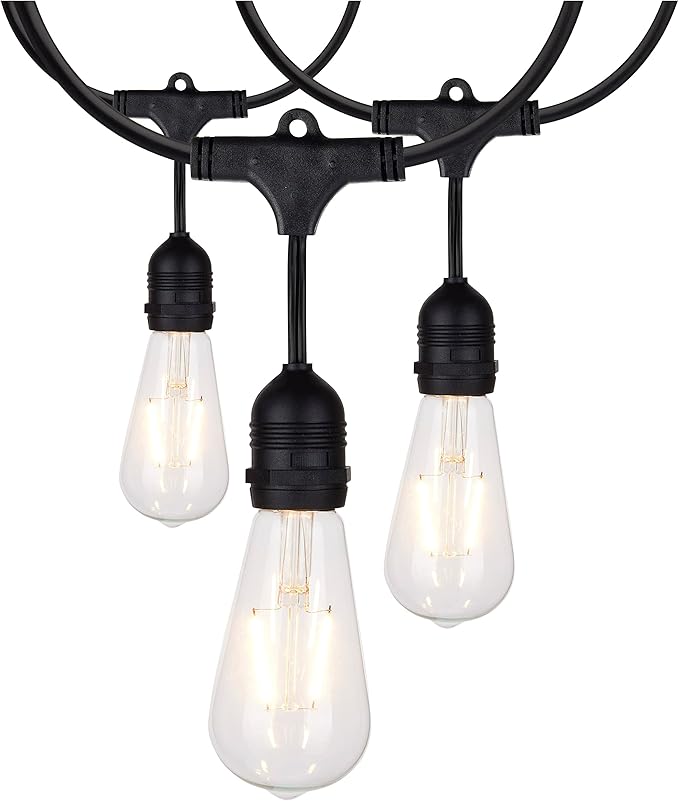 Satco S8036 LED Indoor/Outdoor String Lights, Black, ST19 Bulbs, 24 Feet (Pack of 1)