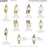 Livex Lighting 2006-02 Basics 1 Light PB Outdoor Wall Lantern, Polished Brass | Lumora