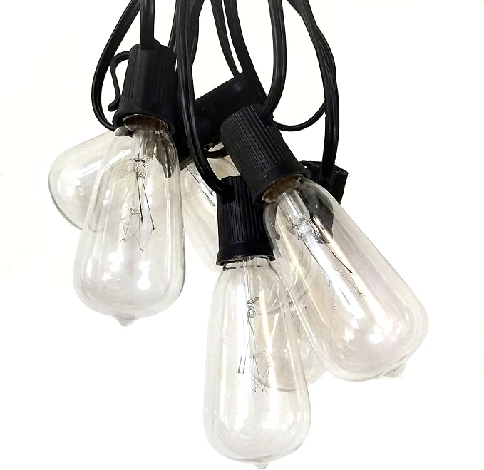 Hometown Evolution, Inc. Vintage Edison Outdoor String Lights (ST40 Clear - Black Wire, 25 ft) | Lumora