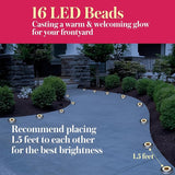 Solar Ground Light 8 Packs, Upgraded 16-LEDs Solar Outdoor Light for Patio, Mower-Friendly Withstand 200lbs Solar | Lumora