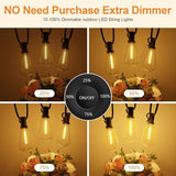 100FT Remote Outdoor String Lights for Outside, 50+2 LED Waterproof Shatterproof Edison Dimmable Timer Bulbs, 2500K | Lumora