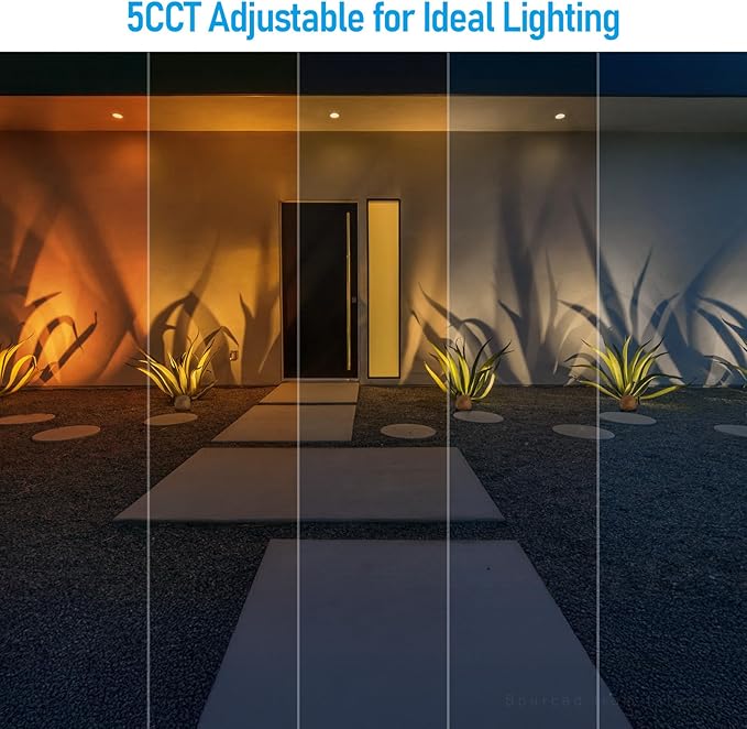 LEONLITE 5CCT LED Rock Lights Outdoor, 5W Low Voltage Landscape Spot Light for Garden, Yard, Decorative Stone Light, 12-24V AC/DC, CRI90, 200lm, IP65 Waterproof, Round, Yellow, Pack of 2