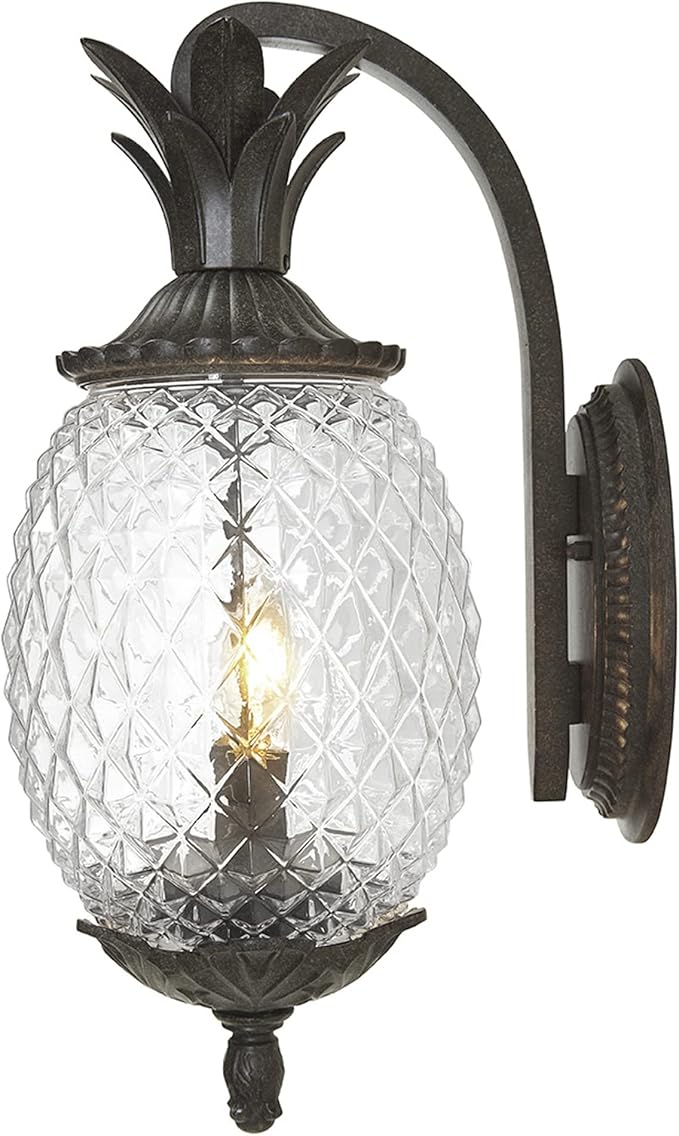 Acclaim 7502BC Lanai Collection 2-Light Wall Mount Outdoor Light Fixture, Black Coral