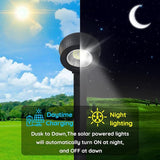 Solar Pathway Lights Outdoor, Brightest 300 lm 32 led Solar Garden Lights, Bright & Warm White LED Options | Lumora