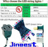 100 LED Multicolor Christmas Lights, UL Listed and Commercial Grade 35 Ft Green Wire String Lights, for Indoor and | Lumora