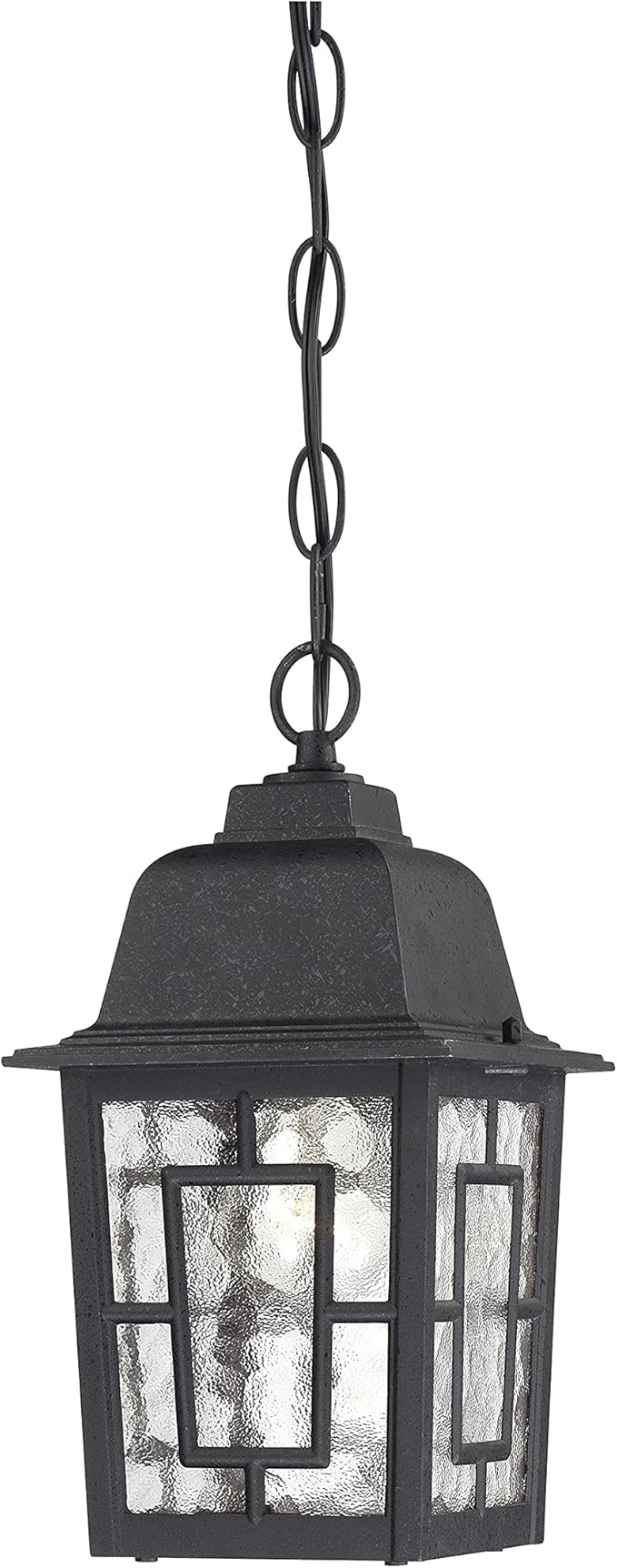Nuvo Lighting 60/4933 Banyon One Light Hanging Lantern 100 Watt A19 Max. Clear Water Glass Textured Black Outdoor | Lumora