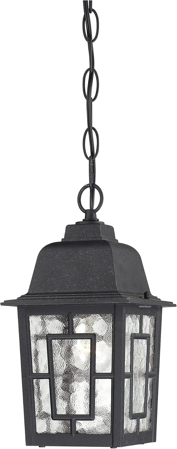 Nuvo Lighting 60/4933 Banyon One Light Hanging Lantern 100 Watt A19 Max. Clear Water Glass Textured Black Outdoor | Lumora