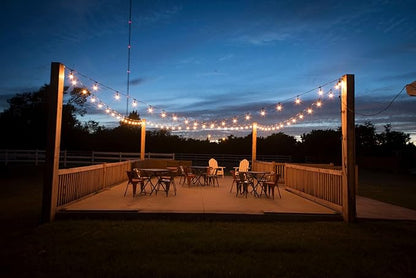 Vintage 48-Ft Outdoor Commercial String Lights with 24 Suspended Sockets and 24 Clear S14 Bulbs, 14 Gauge Black Cord