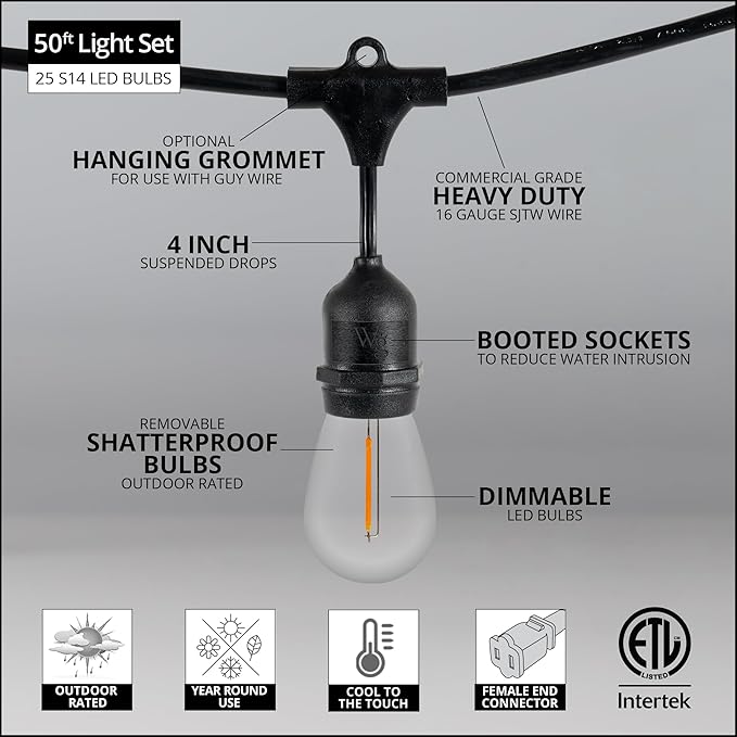Wintergreen Lighting 50ft S14 Shatterproof Outdoor String Lights, 25 Edison Bulbs on Suspended Sockets Dimmable LED | Lumora