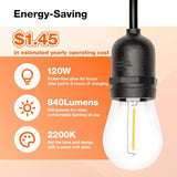 LEDVANCE 24-ft Outdoor String Lights, Edison Shatterproof S14 Bulbs, Linkable, String Lights for Outside/Indoor | Lumora