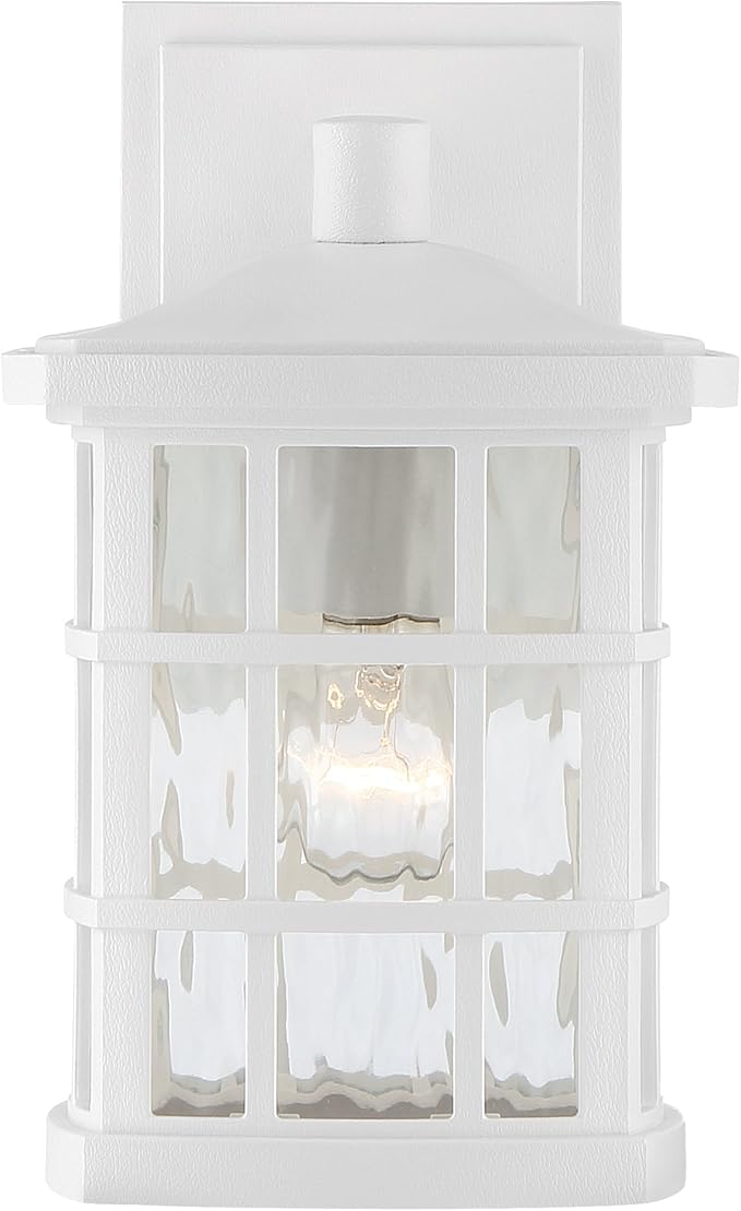 Quoizel Stonington Outdoor Wall Lantern, Coastal Armour 10.5 Inch 1-Light Matte White Vintage Wall Sconce, Clear Water Glass, 100W, Decorative Outside Lights for Patio, Porch, Garage or Yard