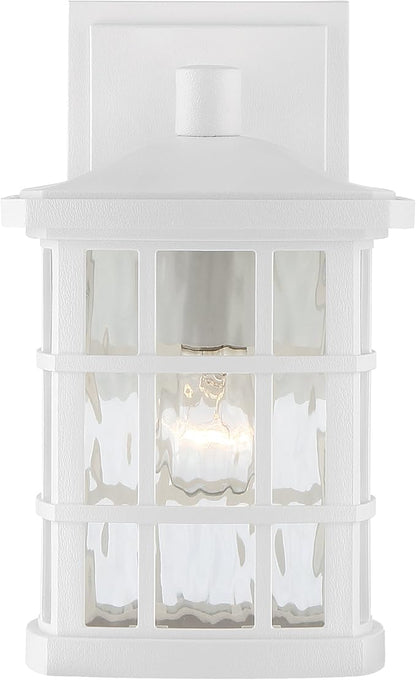 Quoizel Stonington Outdoor Wall Lantern, Coastal Armour 10.5 Inch 1-Light Matte White Vintage Wall Sconce, Clear Water Glass, 100W, Decorative Outside Lights for Patio, Porch, Garage or Yard