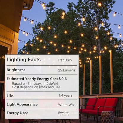 Globe String Lights with 27 Clear G40 Bulbs, Connectable Outdoor /Indoor Lights for Wedding Christmas Camping RV Garden Patio Gazebo Porch Pergola Bistro Backyard Balcony Deck, 25ft Black Wire