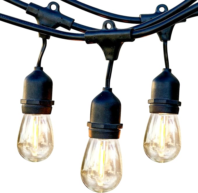 Brightech Bundle: Ambience Pro - Waterproof LED Outdoor String Lights - Hanging, Dimmable 1W Edison Bulbs, Soft White - 48 Ft + 6 Ft Extension Cord