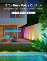 Govee Outdoor Spot Lights 2, IP67 Waterproof Spotlights, Landscape Lights Work with Matter, Alexa, and Google | Lumora