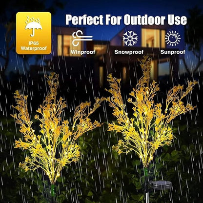 Solar Lights Outdoor Garden Decorative, 2 Pack Solar Powered Phalaenopsis Rape Flowers Lights Design, Upgraded Garden Solar Lights Waterproof IP65, Solar Garden Decor