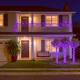 100 LED Purple Christmas Lights, UL Certified Commercial Grade Green Wire String Lights 35 FT, for Indoor and | Lumora
