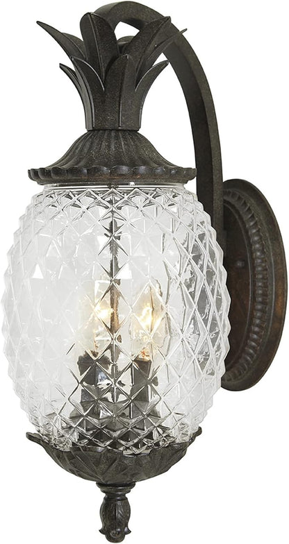 Acclaim 7502BC Lanai Collection 2-Light Wall Mount Outdoor Light Fixture, Black Coral
