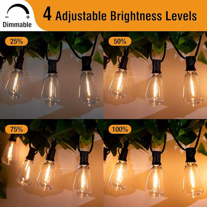 btfarm 100FT LED Outdoor String Lights Waterproof with Remote, Patio Lights with 32+2 ST38 Edison Bulbs, Hanging Light for Outside with Timer for Backyard Party Yard Gazebo Porch, 2700K Dimmable