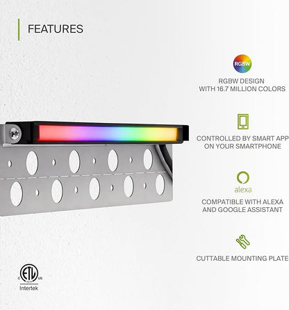 ASD LED 12 Inch Retaining Wall Light Fixture, Hardscape Paver Lighting | RGBW, App & Voice Control, Waterproof, ETL Listed | 5W 160LM RGB-2700K-6500K 12V | Landscape Step Illumination | Black, 8 Pack